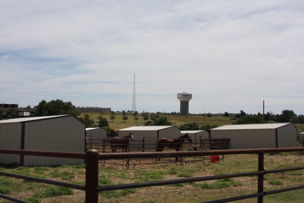 Horse Shelters with Runs