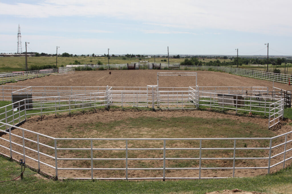 Rodeo Arena
